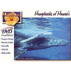 Humpbacks Of Hawaii Dvd Living Postcard