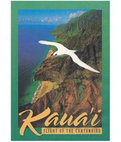 Copy Of Kauai - Flight Of The Canyonbird - Dvd