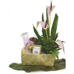 Lavender Spa Escape Gift Basket