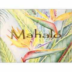 Mahalo Cards-bird Of Paradise  Design