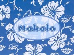 Mahalo Cards-hibiscus Design ( Box Of 10)