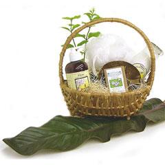 Pikake Spa Escape Gift Basket