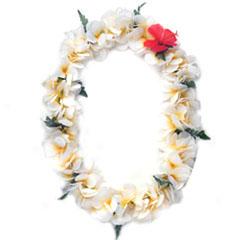 Plumeria Jasmine Poepoe Lei