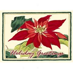 Poinsettia Greeting Cards