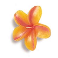 Scented Floating Candle - Yellow Plumeria