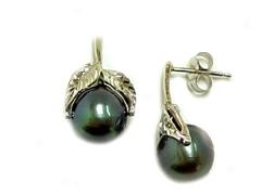 Tahitian Pearl Earrings In Leaves Sstting