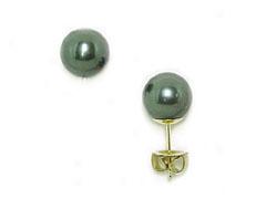 Tahitian Pearl Earrings-yellow Gold