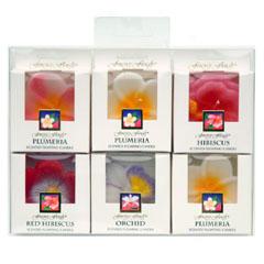 Tropical Floating Candles-6 Pack