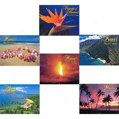 Year 2003 Calendars - Set Of 6