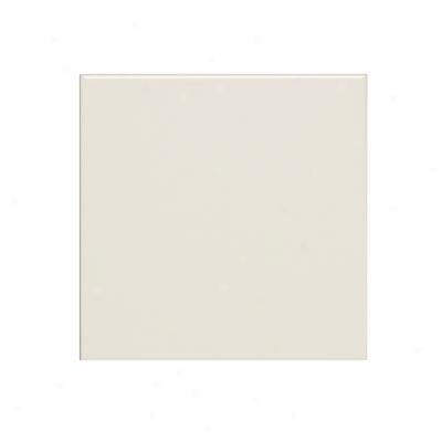 Adex Usa Coordinating Floor 13 X 13 Bone Tile & Stone