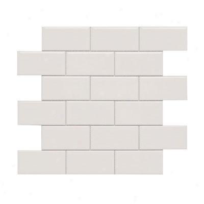 Adex Usa Hampton 2 X 4 Mosaic Flat Bone Tile & Stone