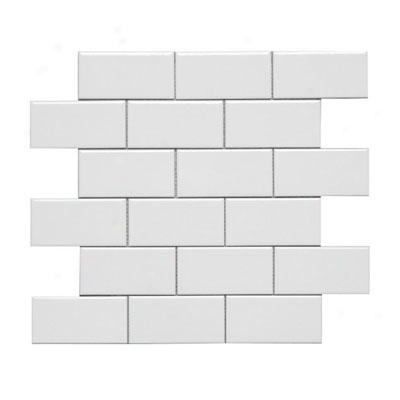 Adex Usa Hampton 2 X 4 Mosaic Flat White Tile & Stone