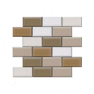 Adex Usa Hampton 2 X 4 Mosaic Beveled Blend Tile & Stone