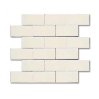 Adex Usa Neri 2 X 4 Mosaic Flat Bone Tile & Stone