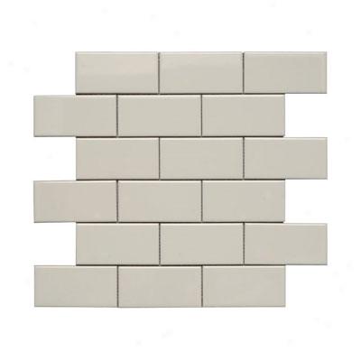 Adex Usa Neri 2 X 4 Mosaic Flat Celery Tile & Stone