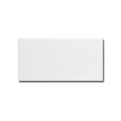 Adex Usa Neri 3 X 6 White Tile & Stone