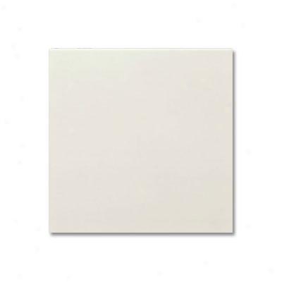 Adex Usa Neri 4 X 4 Bone Tile & Stone