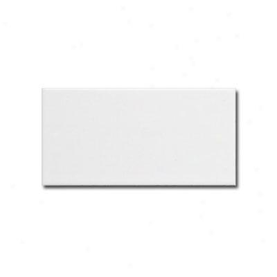 Adex Usa Neri 4 X 8 White Tile & Stone