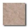 Alfa Ceramica Imperial 18 X 18 Romano Beige Tile & Stone