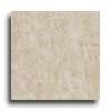 Alfa Ceramica Roma 18 X 18 Avorio Tile & Stone