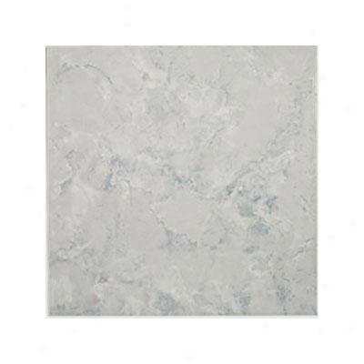 Alfagres Trento 12 X 12 Naval Tile & Stone