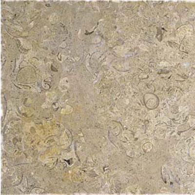 Alfagres Tumbled Marble 12 X 12 Cafe Pinto Tile & Stone