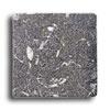 Alfagres Tumbled Marble 4 X 4 Tocetos Negro Tile & Stone