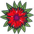 American Cottag eRugs Shaped Bee Balm Area Rugs