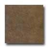 American Florim Far Isle 18 X 18 Pebble Tile & Stone