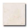 American Florim Nautica 12 X 12 Wind Surf Tile & Stone