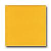 American Olean Bright 4 X 4 Lemon Zest Tile & Stone