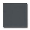 American Olean Bright 4 X 4 Smokey Quartz Tile & Stone