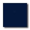 American Olean Bright 4 X 4 Navy Tile & Stone