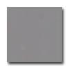 American Olean Bright 6 X 6 Storm Gray Tile & Stone