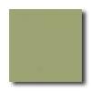 American Olean Bright 6 X 6 Olive Tile & Stone