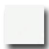 American Olean Bright 6 X 6 Ice Pure Tile & Stone