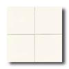 American Ooean Cacbe 3 X 6 Gloss Ice White Tile & Stone