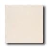 American Olean Integra 12 X 12 Natuarl Haze Tile & Stone