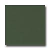 American Olean Matte 6 X 6 Matte Dill Pickle Tile & Stone