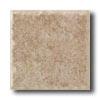 American Olean Sandy Ridve Mosaic Sand Tiie & Stone