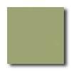 American Olean Satinbrites Mosaic Gloss Olive Tile & Stone