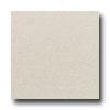 American Olean St Germain 12 X 12 Blanc Tile & Stone