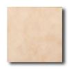 American Olean Subtle Steps Ii 8 X 8 Arabian Sand Tile & Stone