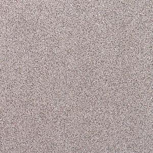 American Olean Terra Granite 12 X 12 Speckled Coral Tile & Stone