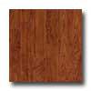 Amtico American Cherry 3 X 36 American Cherry Vinyl Flooring