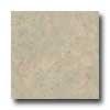 Amtico Fossil Limestone 12 X 12 Fossil Limestone Vinyl Flooring