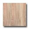 Amtico Golden Elm 41 /2 X 36 Golden Elm Vinyl Flooring