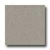 Amtico Microspec 12 X 12 Microspec Mortar Vinyl Flooring