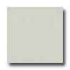 Amtico Pure Plain 12 X 12 Genuine Plain Putty Vinyl Flooring