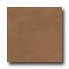 Amtico Standard Stained Concrete 12 X 12 Stained Concrete Tan Vinyl Flooring